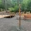 Spielplatzgerät Henkeln mit Holzpfosten und Metallgriffen im Waldspielbereich.