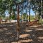 Römische Bank (Rückenmuskulatur) aus Holz für Outdoor-Fitness im Park mit Baumkulisse.