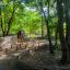 Hundeleiter mit Holzstufen und natürlichem Weidenzaun als Teil vom Spielplatz im Wald.