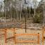 Springpflöcke mit Handlauf am Spielplatz mit Holzboden und Wald im Hintergrund.