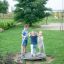 Biene Drehkarussell Spielgerät mit drei Kindern im Garten