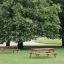 Bank & Tisch (Lärcheholz) Spielplatzmöbel aus robustem Lärchenholz im Park
